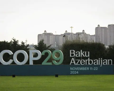 Azerbaijan aims to launch green investment rule book at COP29