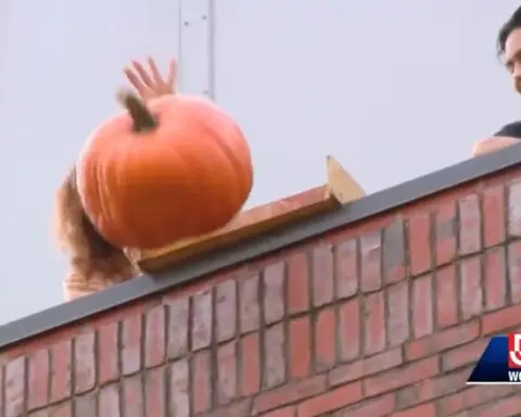 Students at Boston University come together for annual "pumpkin drop"