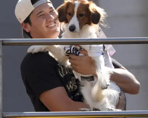 Meet Decoy Ohtani, perhaps the most valuable pet of the World Series