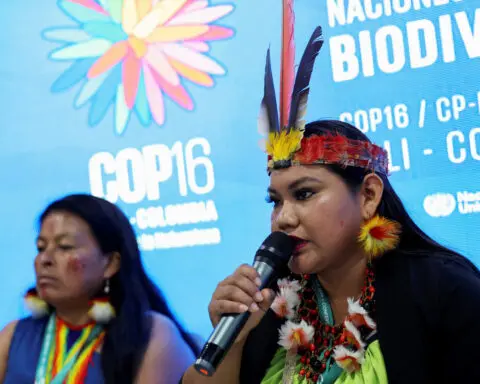 Ecuador's Indigenous defenders face growing threats, activists say at UN summit