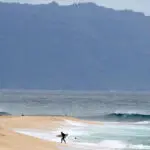 Shark bites 61-year-old Maui surfer, completely severing his leg below the knee