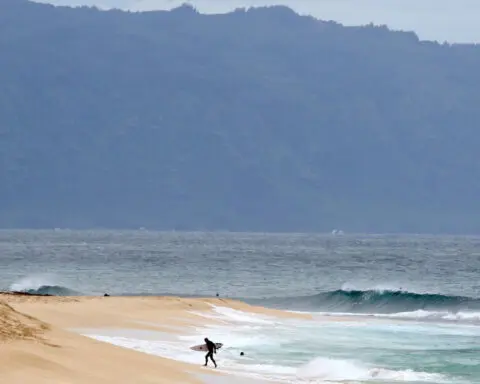 Shark bites 61-year-old Maui surfer, completely severing his leg below the knee