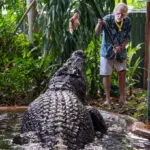 World's largest captive crocodile Cassius dies in Australia