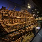 Bones from a Tudor warship reveal what life was like for the crew