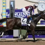 Thorpedo Anna caps sensational season with victory in the Breeders' Cup Distaff at Del Mar