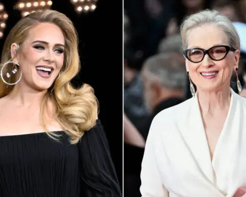 Adele continues to awe at her own A-List concertgoers with Meryl Streep encounter