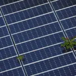 Chinese solar firms, ever-nimble, go further afield where US tariffs don't reach