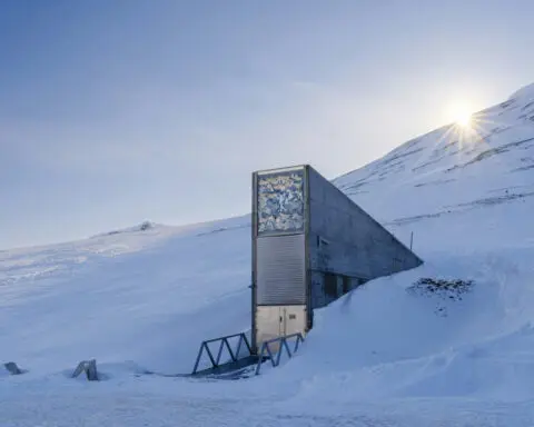 Svalbard Global Seed Vault evokes epic imagery and controversy because of the symbolic value of seeds