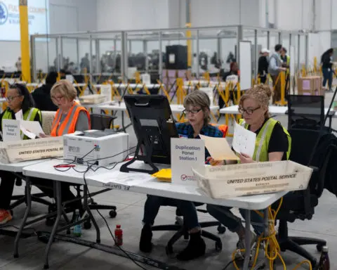 US cybersecurity chief says disinformation surge hasn't impacted election