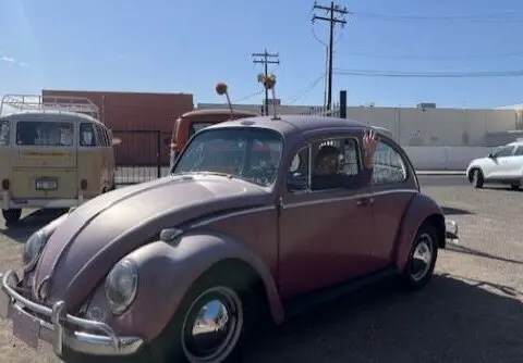 Tucson woman drives 'Blue Whale' the VW Bug for 50 years