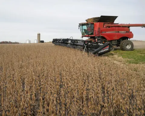 US farmers back Trump but face pain from China tariff threats