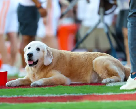 Ben, the famed, beloved dog of college football’s Kirk Herbstreit, has passed away