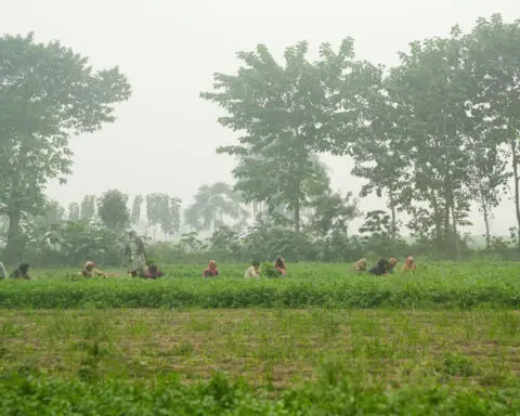 Pakistan's Punjab bans entry to parks, zoos and playgrounds because of pollution