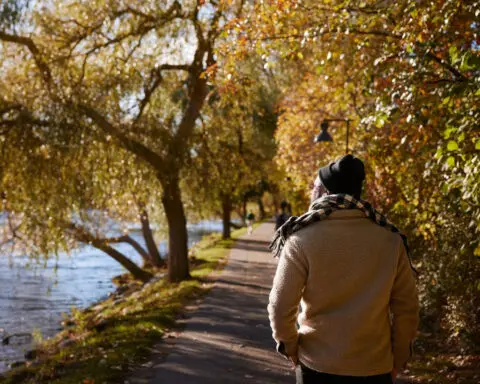 How a practice called forest bathing can boost your physical and mental health