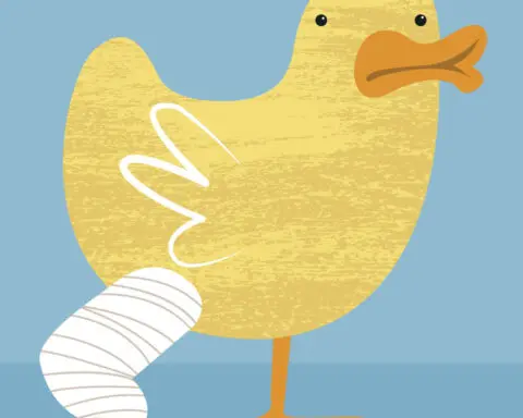 The election is over − but what is a ‘lame duck’ anyway?