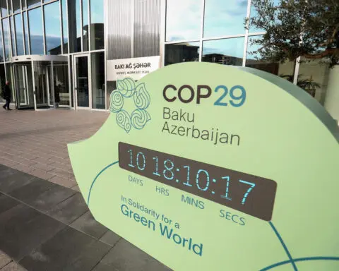 Who are the key voices at the COP29 climate summit in Baku?