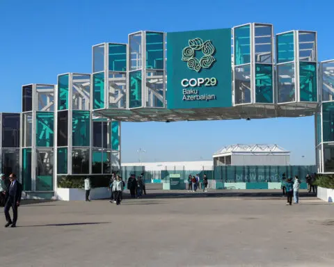 COP29: What is a carbon credit? What is Article 6?