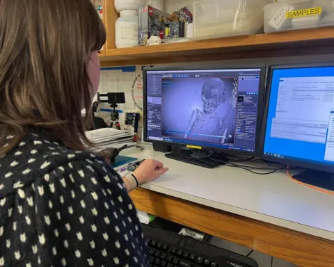 Scans help solve a 3,000-year-old mystery of a high-status Egyptian woman