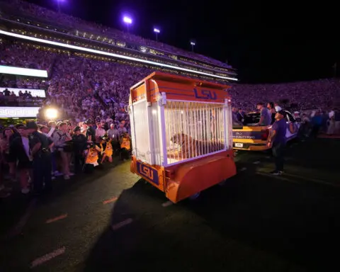 LSU criticized after bringing caged live tiger into stadium before defeat to Alabama