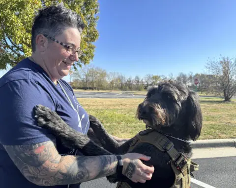 'I got my life back.' Veterans with PTSD making progress thanks to service dog program