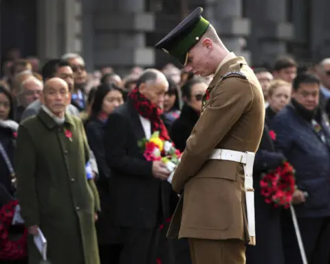 Remembering Armistice Day in Europe: Liberty should be cherished and defended