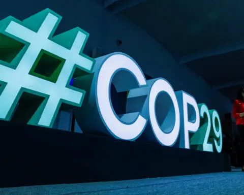 COP29 countries endorse global carbon market framework