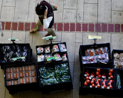 Japan's rising wholesale inflation heightens uncertainty on BOJ's rate hike timing