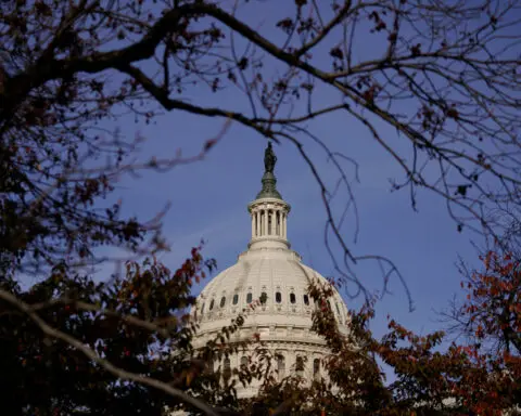 Democrats in Congress urge Biden to sanction Israelis over West Bank violence