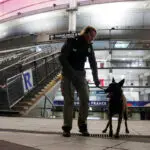 Soccer-Scant crowd and heavy security at Stade de France for Israel game