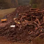 Lake Lure making major progress clearing lake's debris pile