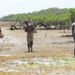 After missing school due to extreme heat, African children push for climate action