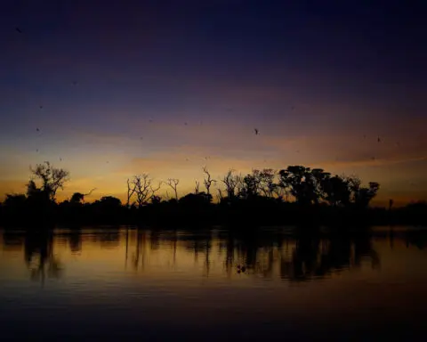 Methane from tropical wetlands is surging, threatening climate plans