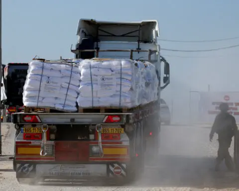 Nearly 100 food aid trucks violently looted in Gaza, UN agencies say