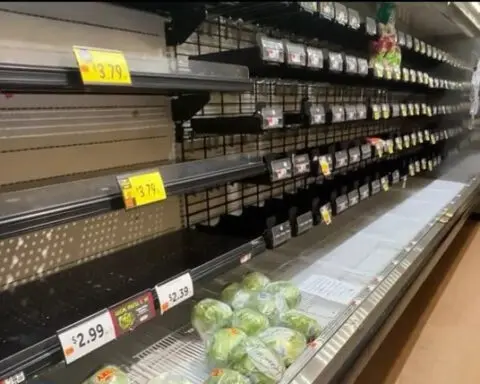 Cyberattack leaves Stop & Shop shelves empty 10 days before Thanksgiving