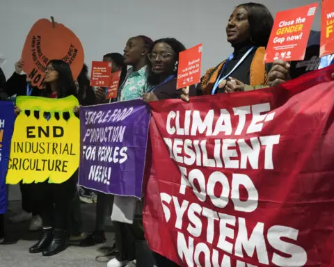 At UN climate talks, farmers argue for a share of money dedicated to fighting climate change