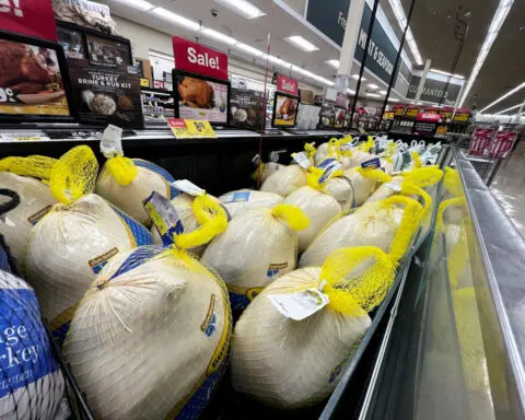 Lower turkey costs set table for cheaper US Thanksgiving feast this year