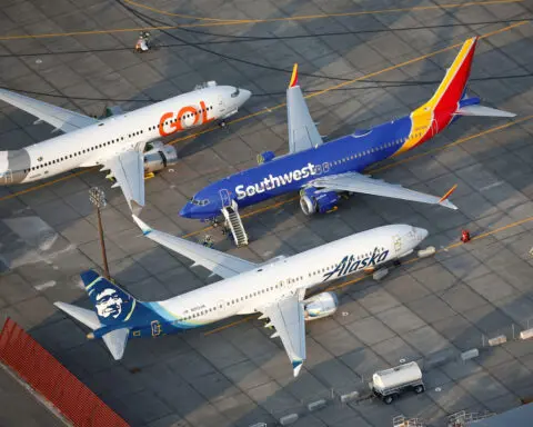 FAA to convene board to review 737 MAX engine issue after bird strike incidents