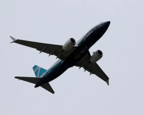 FAA plans to review 737 MAX engine issue after bird strike incidents