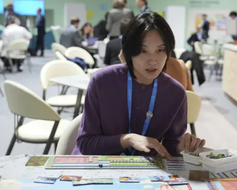 In a board game, climate experts work to save the world, which diplomats at COP29 try in real life