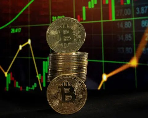 Bitcoin at record highs, sets sights on $100,000