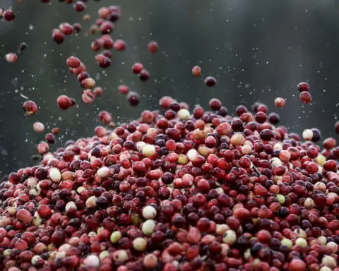 No need to overload your cranberry sauce with sugar this holiday season − a food scientist explains how to cook with fewer added sweeteners