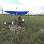 Archaeologists discover 4,000-year-old canals used to fish by predecessors of ancient Maya