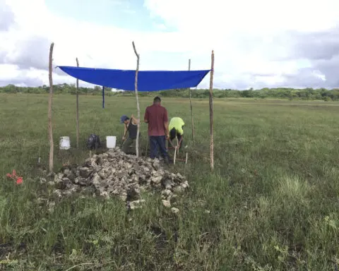 Archaeologists discover 4,000-year-old canals used to fish by predecessors of ancient Maya