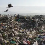 In South Korea, nations meet in final round to address global plastic crisis