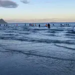 New Zealanders help to save about 30 whales after a pod strands on a beach