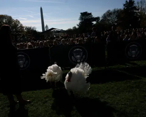 Biden pardons turkeys Peach and Blossom during final Thanksgiving event