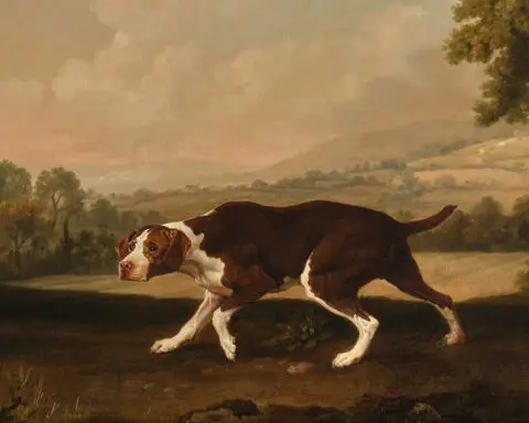 George Stubbs dog painting expected to sell for up to $2.5 million at auction