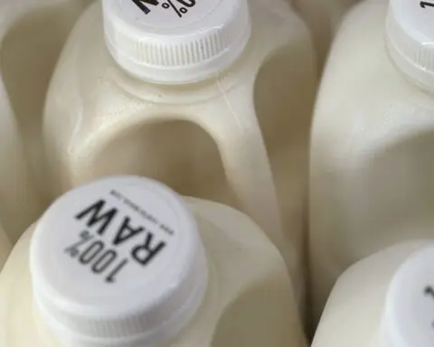 Bird flu virus was found in raw milk. What to know about the risks