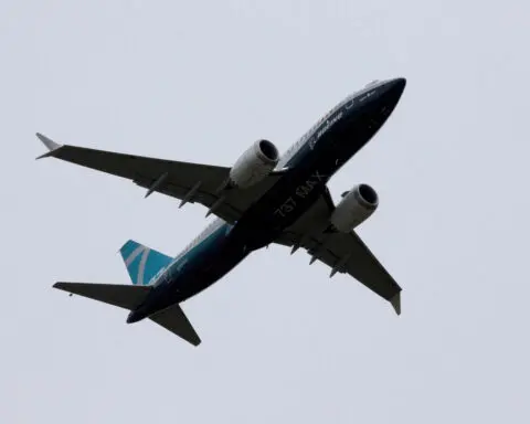 FAA will not require immediate 737 MAX engine action after bird strikes