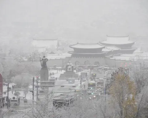 Worst November snowstorm in half century hits Seoul and grounds hundreds of airplane flights